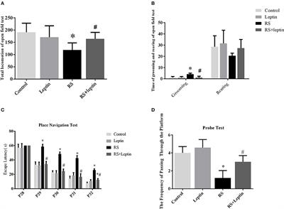 Zinc/CaMK II Associated-Mitophagy Signaling Contributed to Hippocampal Mossy Fiber Sprouting and Cognitive Deficits Following Neonatal Seizures and Its Regulation by Chronic Leptin Treatment